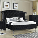 New Era Innovations Sofia Queen Upholstered Bed Sofia B2019 Queen Bed - Black IMAGE 1