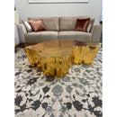 Nova Wholesale Furniture Elisha Coffee Table ELISHAGOLD-CT IMAGE 13