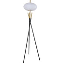  Crown Mark 6293F Floor Lamp IMAGE 1